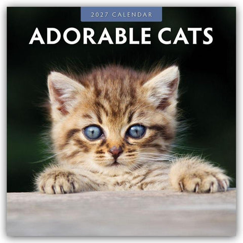 Adorable Cats – Liebenswerte Katzen 2027 – 16-Monatskalender