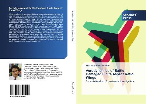 Aerodynamics of Battle-Damaged Finite Aspect Ratio Wings