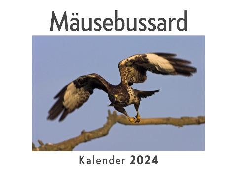 Mäusebussard (Wandkalender 2024, Kalender DIN A4 quer, Monatskalender im Querformat mit Kalendarium, Das perfekte Geschenk)