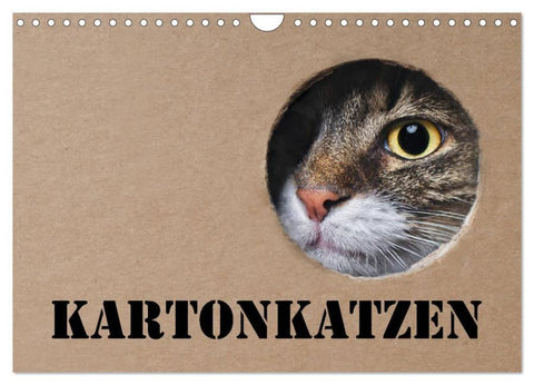 Karton Katzen (Wandkalender 2026 DIN A4 quer), CALVENDO Monatskalender