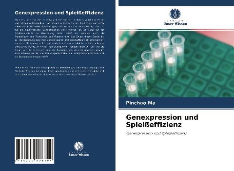 Genexpression und Spleißeffizienz