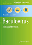 Baculovirus