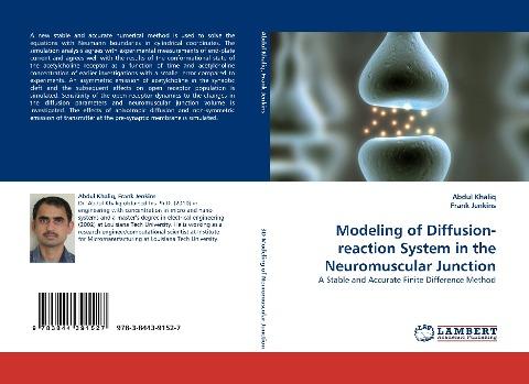 Modeling of Diffusion-reaction System in the Neuromuscular Junction