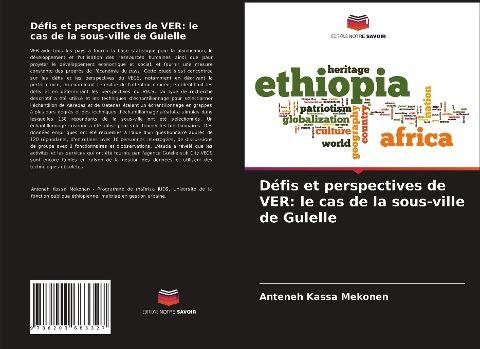 Défis et perspectives de VER: le cas de la sous-ville de Gulelle
