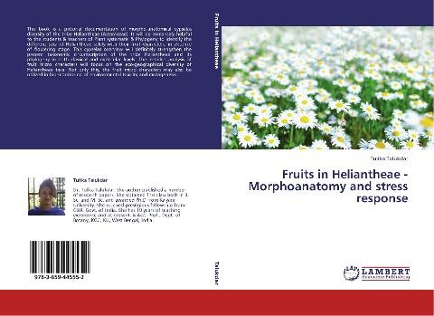 Fruits in Heliantheae - Morphoanatomy and stress response
