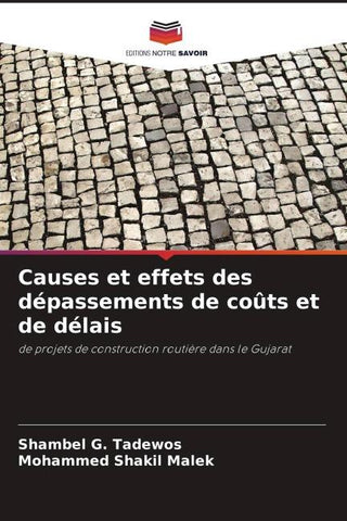 Causes et effets des dépassements de coûts et de délais
