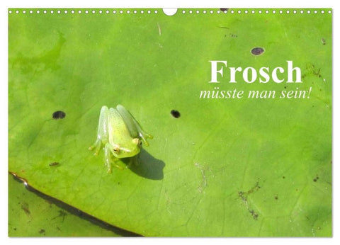 Frosch müsste man sein! (Wandkalender 2026 DIN A3 quer), CALVENDO Monatskalender