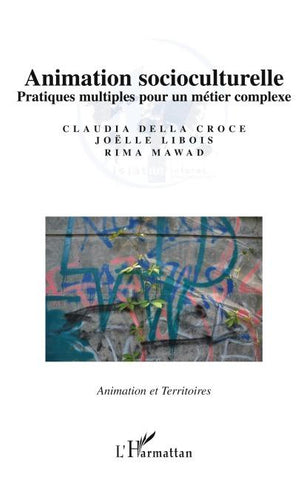 Animation socioculturelle