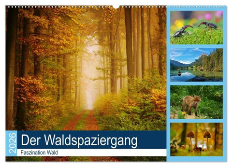 Der Waldspaziergang (Wandkalender 2026 DIN A2 quer), CALVENDO Monatskalender