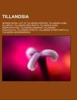 Tillandsia