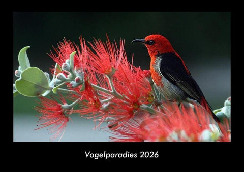 Vogelparadies 2026 Fotokalender DIN A3