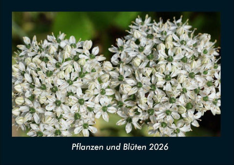 Pflanzen und Blüten 2026 Fotokalender DIN A4