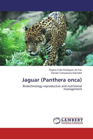 Jaguar (Panthera onca)