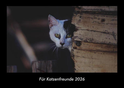 Für Katzenfreunde 2026 Fotokalender DIN A3