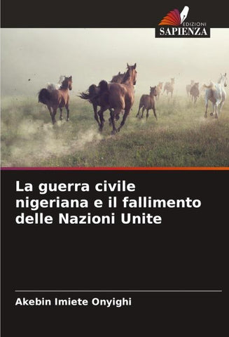 La guerra civile nigeriana e il fallimento delle Nazioni Unite