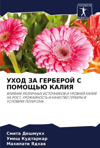 UHOD ZA GERBEROJ S POMOShh'Ju KALIYa