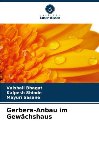 Gerbera-Anbau im Gewächshaus