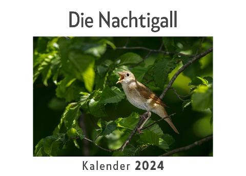 Die Nachtigall (Wandkalender 2024, Kalender DIN A4 quer, Monatskalender im Querformat mit Kalendarium, Das perfekte Geschenk)