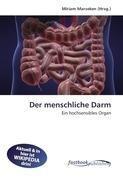 Der menschliche Darm