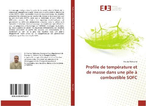Profile de température et de masse dans une pile à combustible SOFC