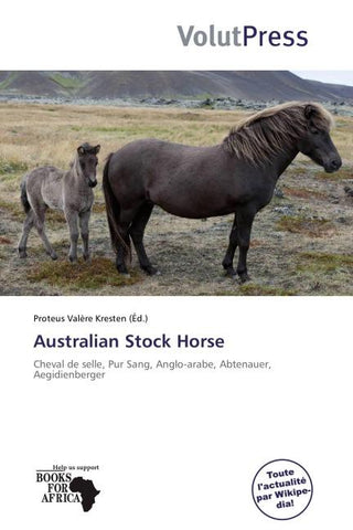 Australian Stock Horse