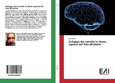 Sviluppo del cervello in Homo sapiens dal feto all'adulto