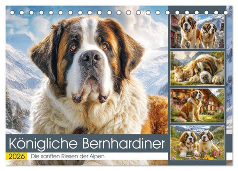Königliche Bernhardiner. Die sanften Riesen der Alpen (Tischkalender 2026 DIN A5 quer), CALVENDO Monatskalender