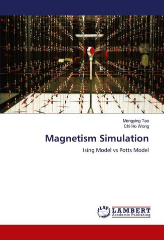 Magnetism Simulation