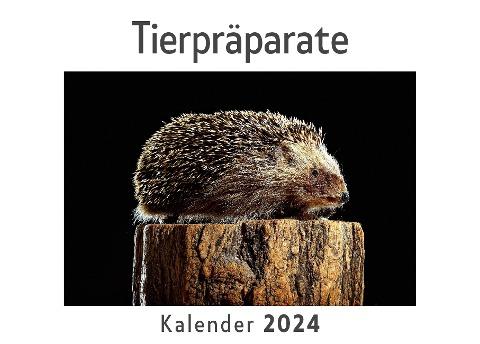 Tierpräparate (Wandkalender 2024, Kalender DIN A4 quer, Monatskalender im Querformat mit Kalendarium, Das perfekte Geschenk)