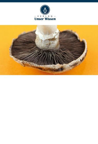 Pilz