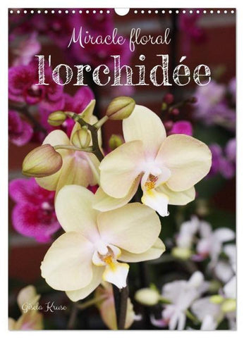 Miracle floral l'orchidée (Calendrier mural 2026 DIN A3 horizontal), CALVENDO calendrier mensuel