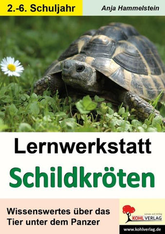 Lernwerkstatt Schildkröten