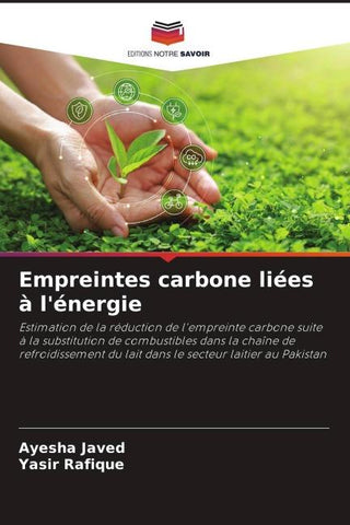 Empreintes carbone liées à l'énergie