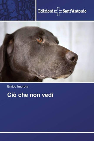 Ciò che non vedi
