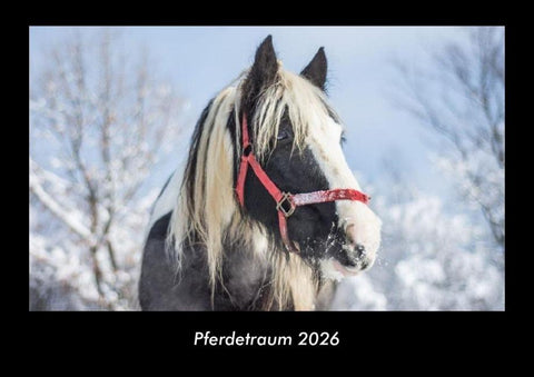 Pferdetraum 2026 Fotokalender DIN A3