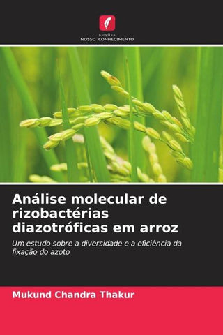 Análise molecular de rizobactérias diazotróficas em arroz