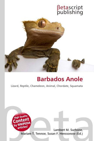Barbados Anole
