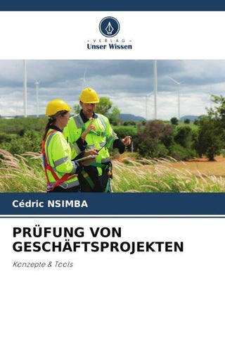PRÜFUNG VON GESCHÄFTSPROJEKTEN