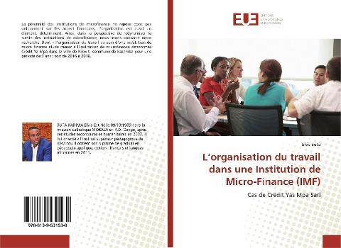 L'organisation du travail dans une Institution de Micro-Finance (IMF)