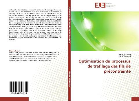 Optimisation du processus de tréfilage des fils de précontrainte
