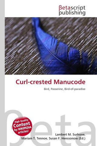 Curl-crested Manucode