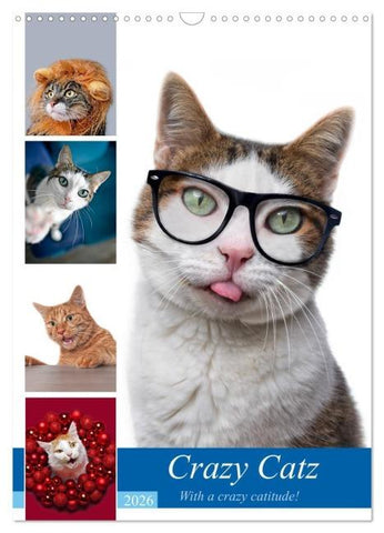 Crazy Catz. (Wandkalender 2026 DIN A3 hoch), CALVENDO Monatskalender