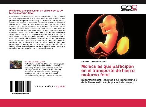 Moléculas que participan en el transporte de hierro materno-fetal