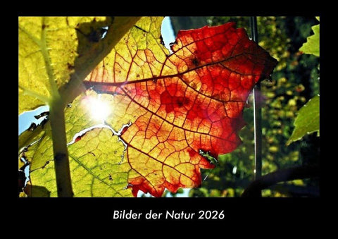 Bilder der Natur 2026 Fotokalender DIN A3