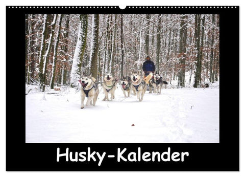 Husky-Kalender (Wandkalender 2026 DIN A2 quer), CALVENDO Monatskalender