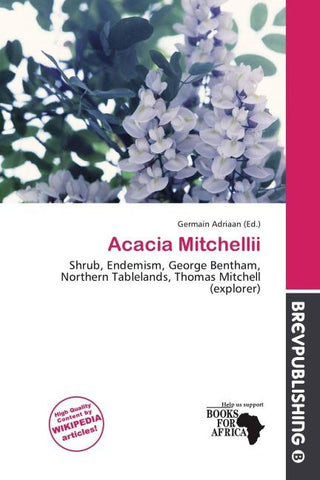 Acacia Mitchellii