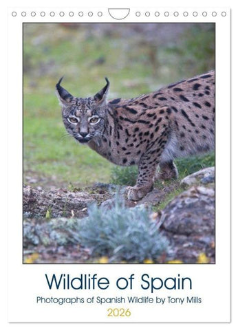 Wildlife of Spain (Wall Calendar 2026 DIN A4 portrait), CALVENDO 12 Month Wall Calendar