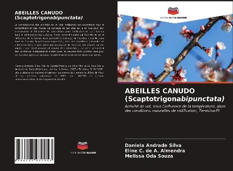 ABEILLES CANUDO (Scaptotrigonabipunctata)