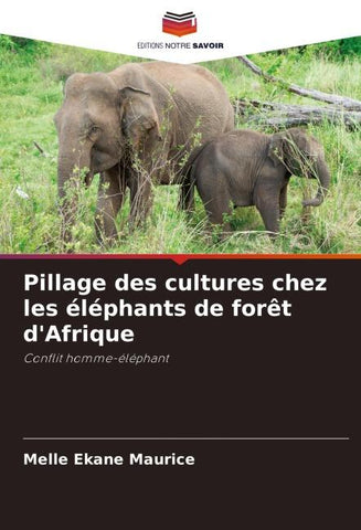 Pillage des cultures chez les éléphants de forêt d'Afrique