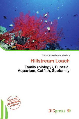 Hillstream Loach
